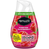 Renuzit Adjustable Air Freshener Raspberry 12/7oz/198g
