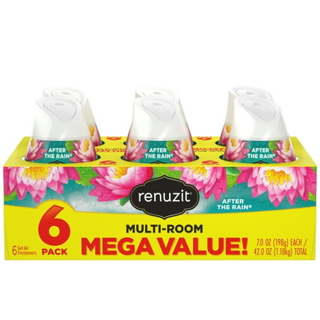 Renuzit Gel Air Freshener, After the Rain, Multi-Room Value Pack, 6 Count