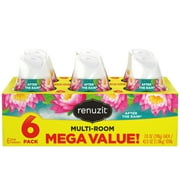 Renuzit Gel Air Freshener, After the Rain, Multi-Room Value Pack, 6 Count