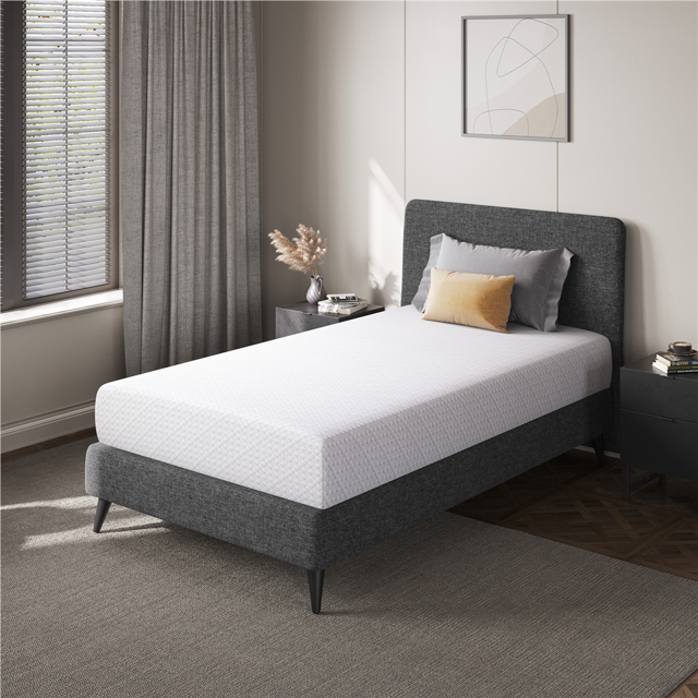 Renwick 10 inch Twin Size Memory Foam Mattress with Green Tea Scent