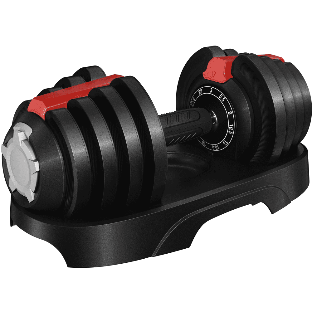 Renwick 11-in-1 Adjustable Dumbbell Weight For Home Gym, Black & Red