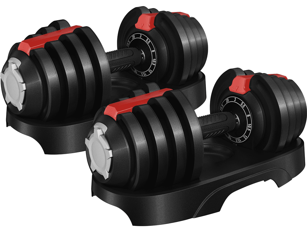 Renwick 11-in-1 Adjustable Dumbbell Weight For Home Gym, Set