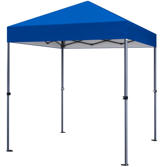 Renwick 6.6x6.6 Ft Instant Pop Up Canopy with One Push To Lock Setup Mechanism, Blue