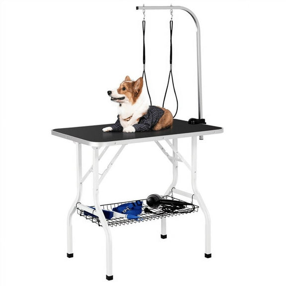 Renwick Pet Grooming Table Folding Adjustable Arm with Clamp Black, 36''