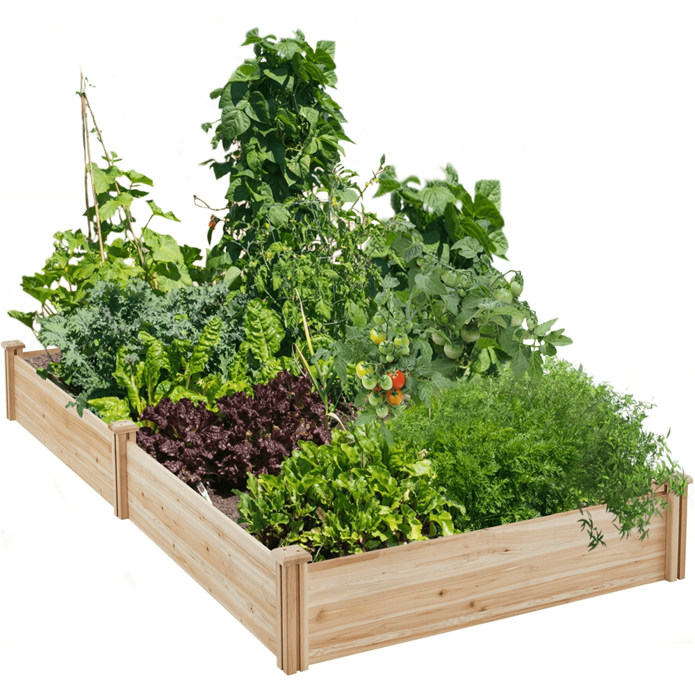 Renwick Stackable Wooden Garden Bed for Vegetable Flower Planting, Wood