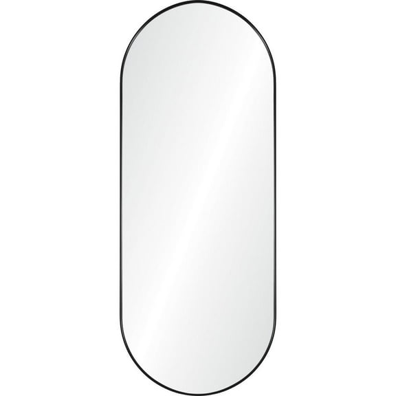 Renwil Ammar 24 x 60 Pill Ractangular Framed Mirror
