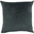 thumbnail image 1 of PWFL1079-Renwil Inc-Bengal - 20 Inch Sqaure Pillow, 1 of 1