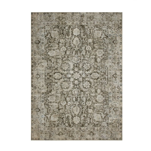 Renwil Chloe 7'6" x 10'2" ft Handwoven Indoor Rug, Multicolour