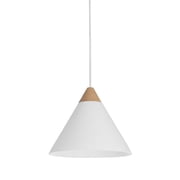 Renwil Daya Ceiling Fixture