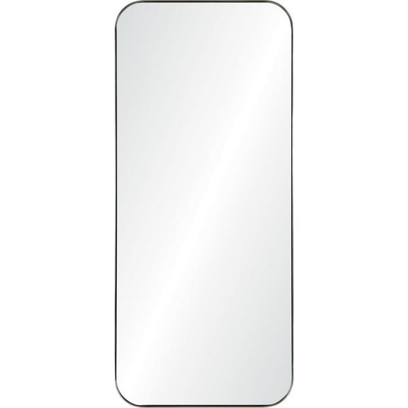 Renwil Delphinus 20 in. x 46 in. Rectangular Framed Mirror