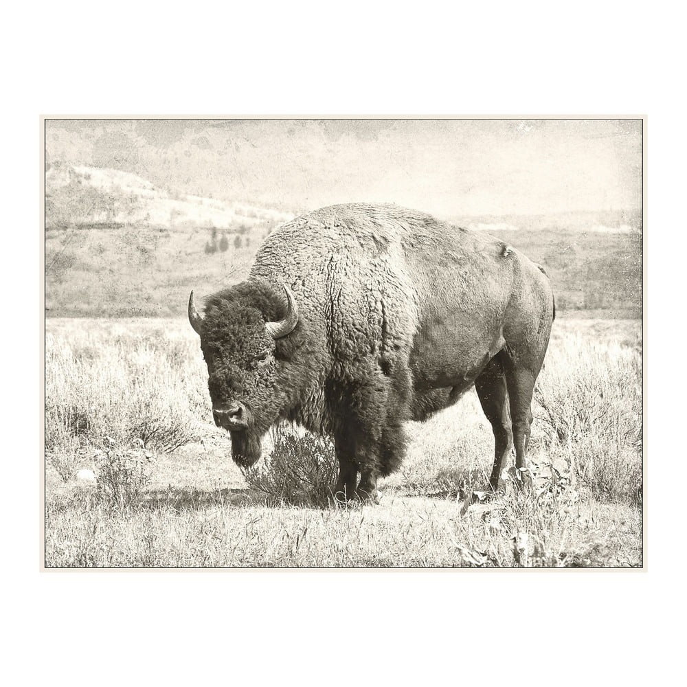Sepia-Toned Framed Landscape Canvas Painting with Buffalo