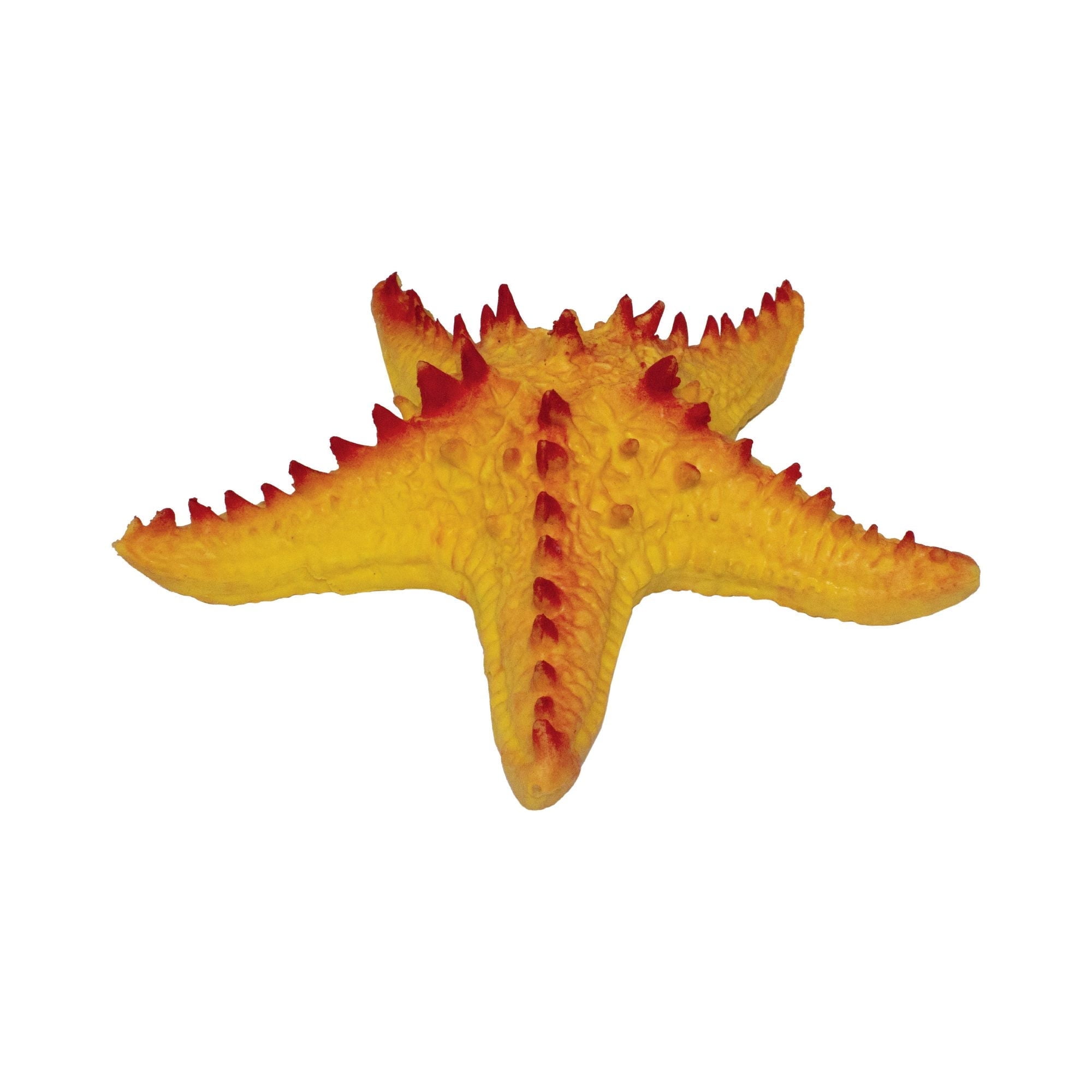 Rep Pals Starfish Stretchy Toy from Deluxebase Realistic Stretch Rep Pals Starfish Stretchy Toy from Deluxebase Realistic Stretch