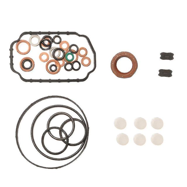 Repair Kit Diesel Fuel Pump High Pressure Rubber Gaskets Reseals