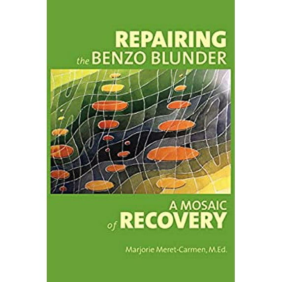 Pre-Owned Repairing the Benzo Blunder: A Mosaic of Recovery (Paperback) 0692905928 9780692905920