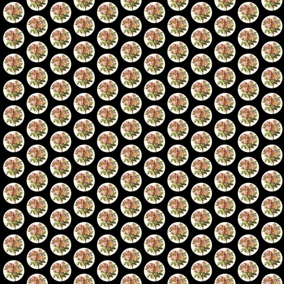 Repeating Pattern - Pink Roses - Circles Poster Print By ® Mary Evans Picture Library (24 X 36)