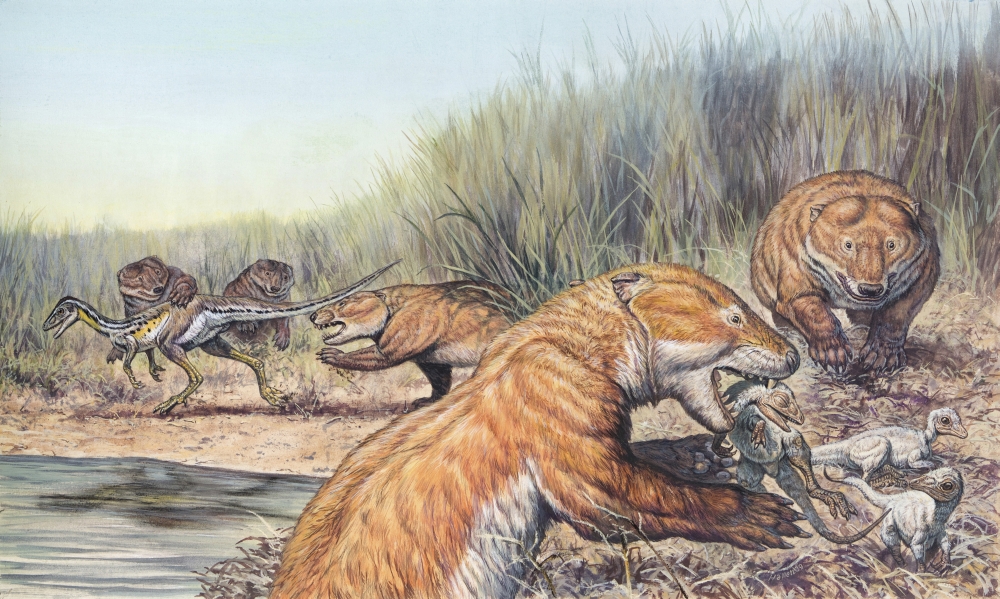 Repenomamus mammals hunting for prey Canvas Art - Mark HallettStocktrek Images (36 x 22)
