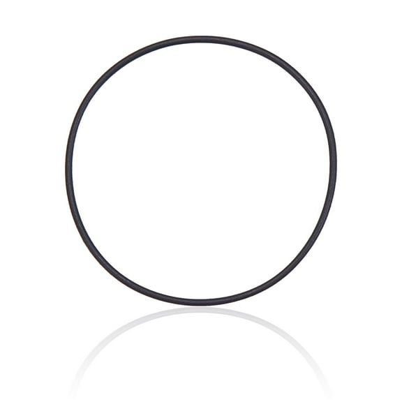 Replacement Back Camera Lens O-Ring Gasket Compatible For iPhone X / XS / XS Max (100 Pack)