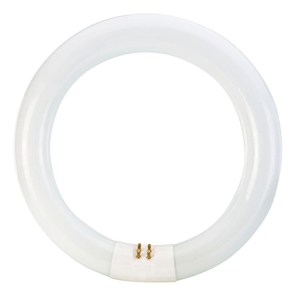 Replacement Circline Bulb, 22W - Illuminated Magnifiers, Luxo - Model 31640 - Each - Model 31640