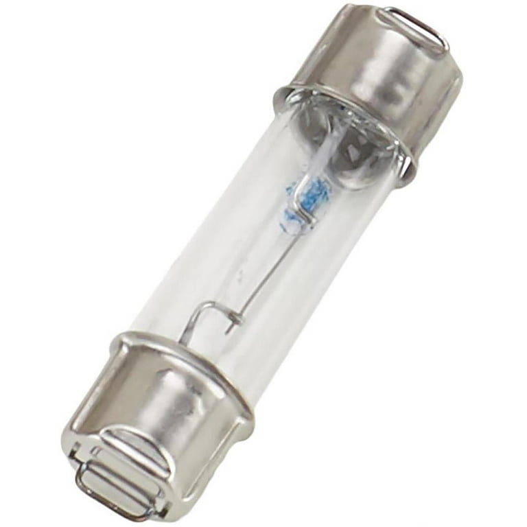 Dome 2024 light bulb