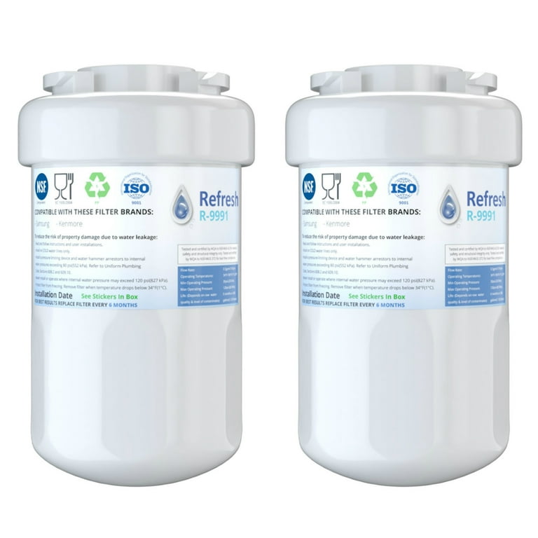 Replacement For GE GSS25WSTASS Refrigerator Water Filter by Refresh 2 Pack