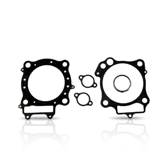 Replacement Gasket Kit Compatible With Honda TRX-ER 450cc 2006-2014 TRX-ER 450cc 2006-2009 By Part Numbers P400210160013