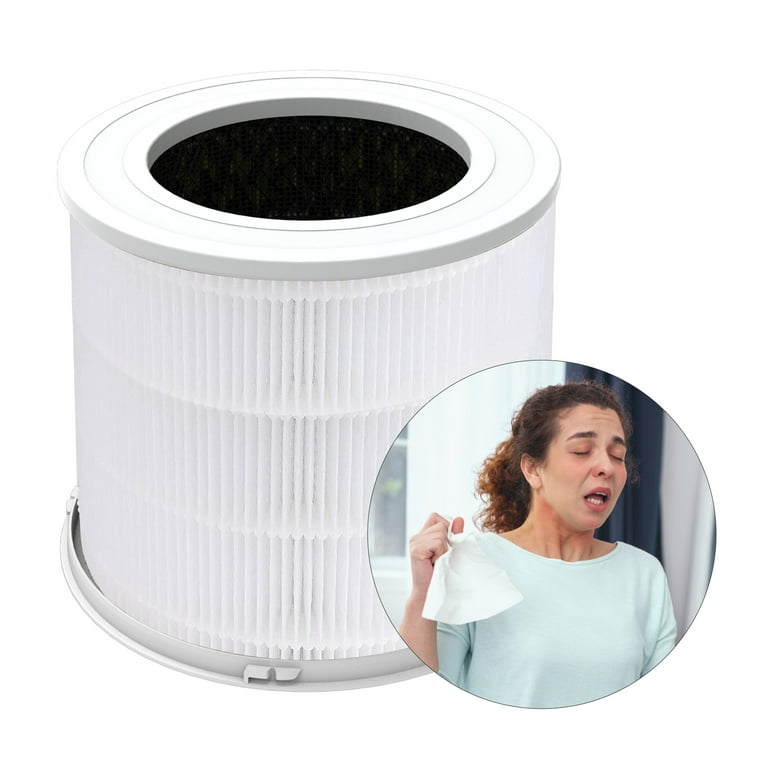 Replacement H13 HEPA Air Purifier Filter for AP301 AP302 CADR