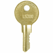 Replacement Key for LSDA LS306