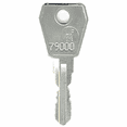 thumbnail image 1 of Replacement Key for Lowe & Fletcher 79883, 1 of 1
