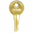 thumbnail image 1 of Replacement Key for Wind Danbury Ct PK549B, 1 of 1