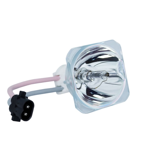 Replacement Lamp