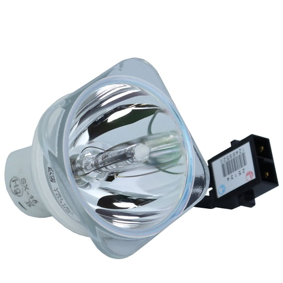 Replacement Lamp
