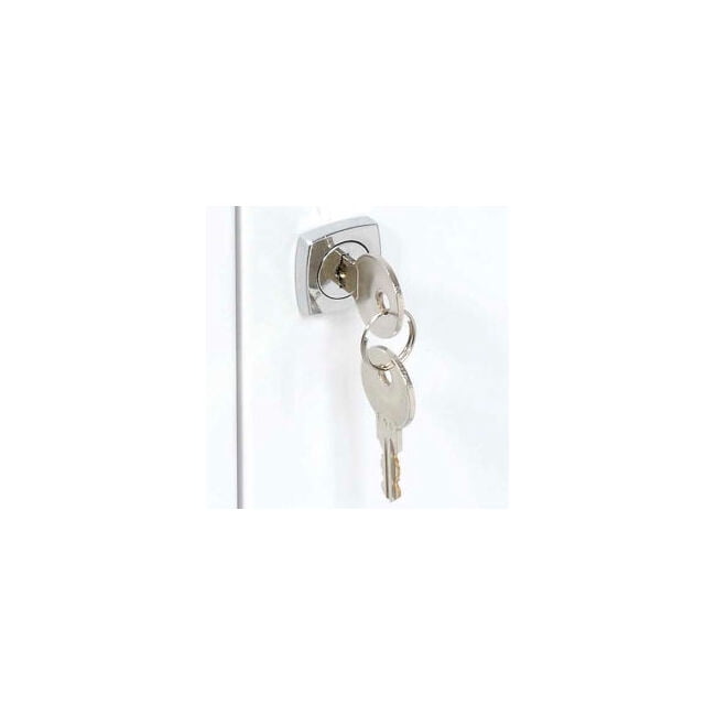 Replacement Lock Set With Keys for Global Industrial Medicine Cabinet Model 2699