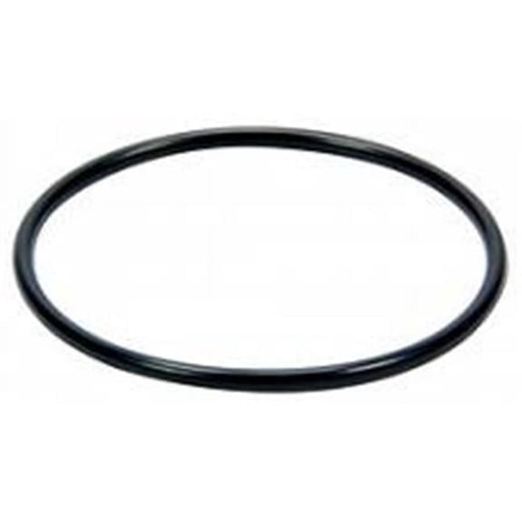 Replacement O-Ring for Large Fill Plug Kit