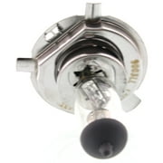 Replacement REPH100401 Headlight Bulb Compatible with 1992-2003 Honda Civic 2001-2004 Ford Escape Sold individually