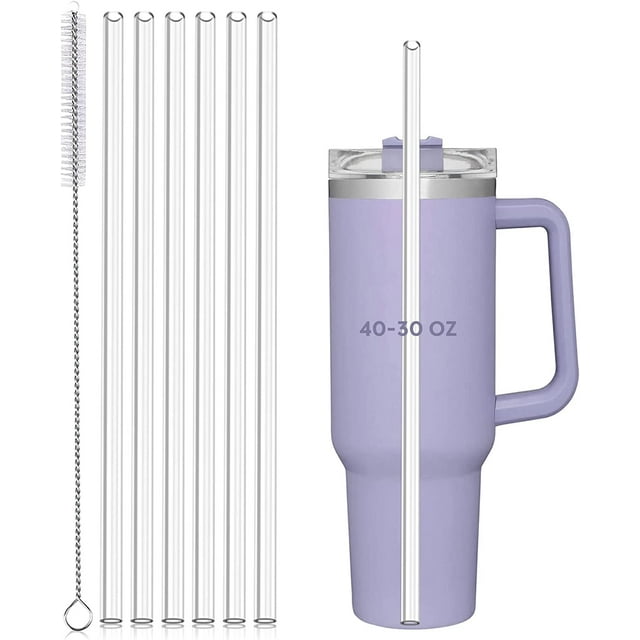 Replacement Straws for Stanley 40 oz 30 oz Cup Tumbler 6 PCS Straws