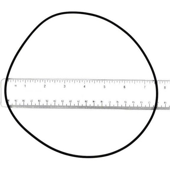Replacement Swimming Pool O-Ring