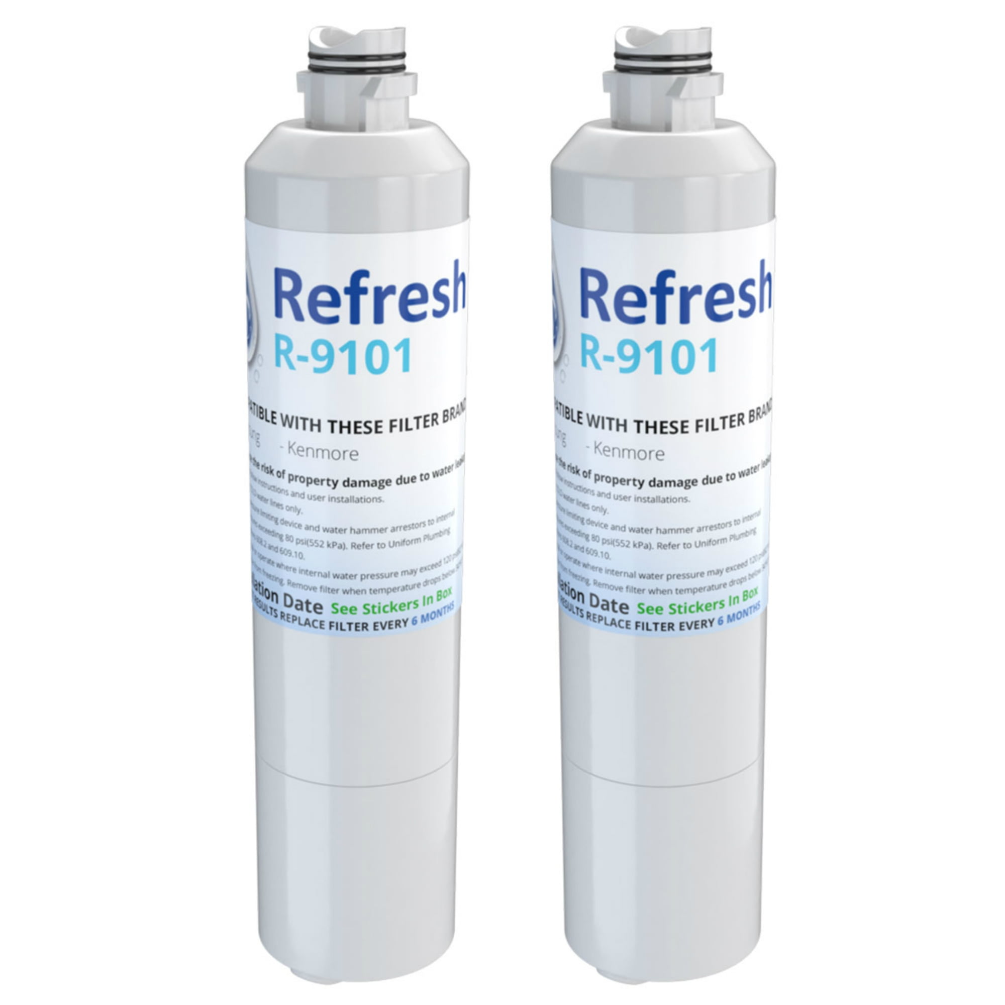 Replacement Water Filter for Samsung DA2900020B by Refresh R9101 (2