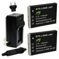 thumbnail image 1 of Replacement for BenQ 02491-0015-00 Battery (2-Pack, 1100mAh) and Charger, 1 of 3