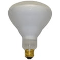 thumbnail image 1 of Replacement for HALCO R40FL300/HG Replacement Light Bulb, 1 of 1