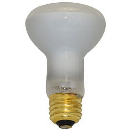 Replacement for LIGHT BULB / LAMP 30R20/FL/KRYPTON Replacement Light Bulb 2 Pieces