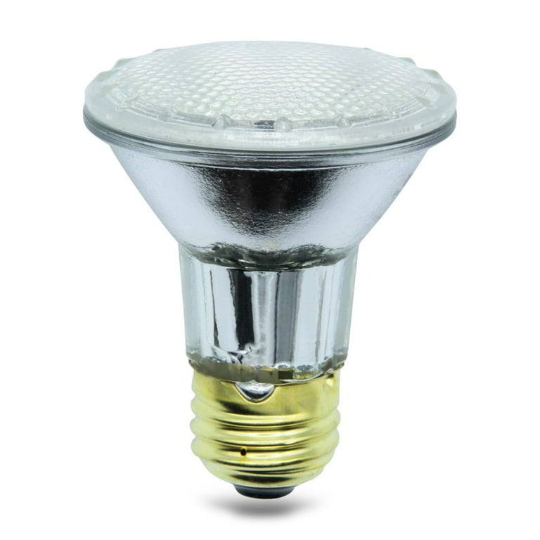 Fl30 bulb 2024