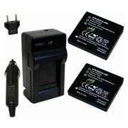 Replacement for Panasonic CGA-S008 Battery 2-Pack, 1300mAh and Charger with Car Adapter