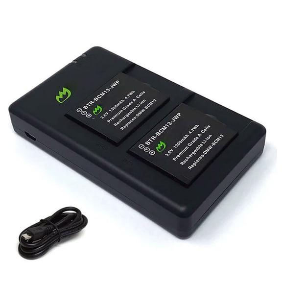 Replacement for Panasonic Lumix DMC-ZS40 Battery (2-Pack, 1300mAh) and Micro USB Dual Charger