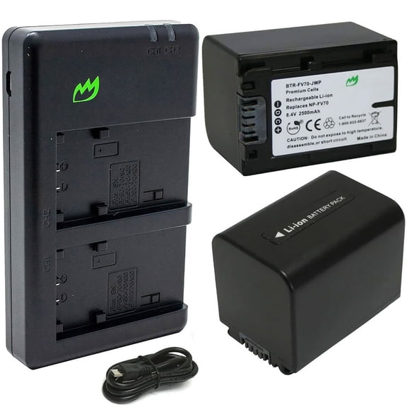 Replacement for Sony FDR-AX100 Battery (2-Pack, 2500mAh) and Dual Charger