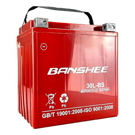 Replacement for YTX30L-BS UTV Battery for Polaris RZR 4, RZR S 800 Year (10-14)
