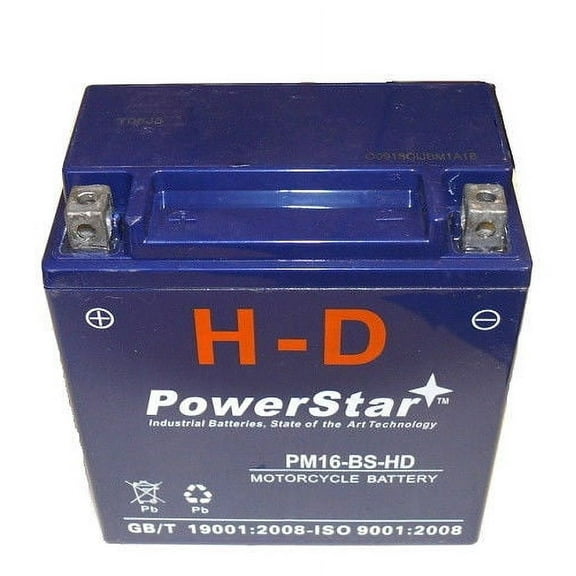 Replaces New Bike Master TruGel Battery MG16-BS-1 3Yr Wrnty YTX16-BS-1 78-0521