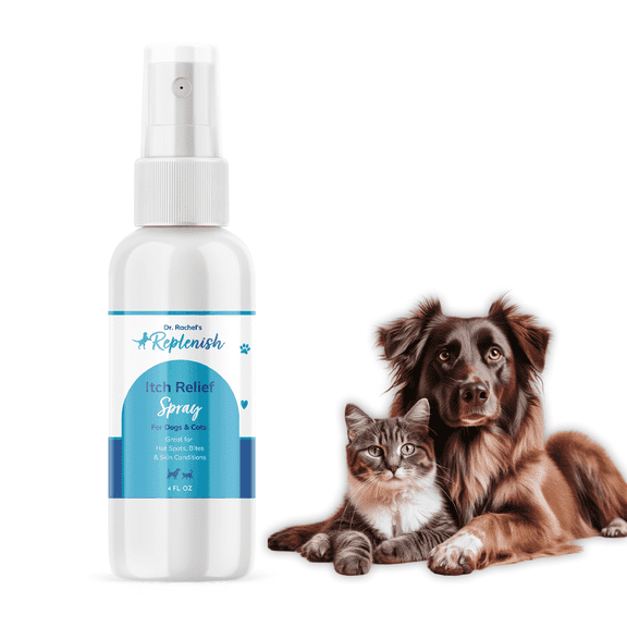 Dr. Rachel's Replenish Anti Itch Spray for Dogs & Cats - Fast-Acting Itch Relief for Dogs - Dog Hot Spot Spray for Dry, Irritated Skin - Antiseptic Dog Spray – 8 Oz