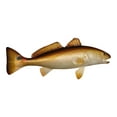 thumbnail image 1 of Replica Red Drum Fish Ocean Restaurant Wall Decor 28 inch, 1 of 2