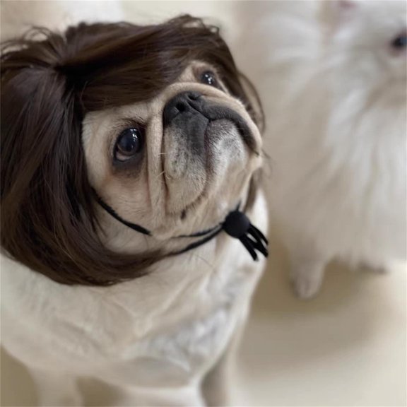 Replio High Pet Natural Curl Temperture Wig Pet Synthetic Wig Black Dog&Cat Wire Pet accessories Gifts Christmas