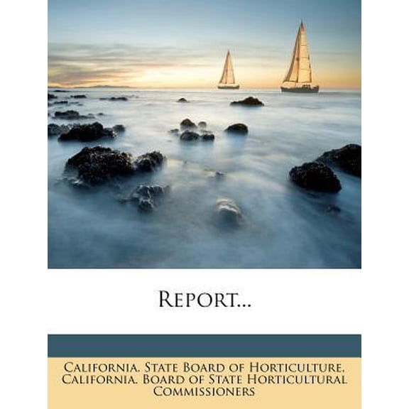 Report... Paperback